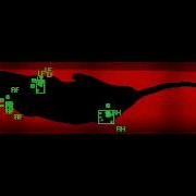 Catwalk Gait Pattern After Rat Sciatic Nerve Compression Injury Hydrogel Steroid