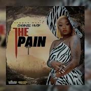 Shaneil Muir The Pain Official Visualizer
