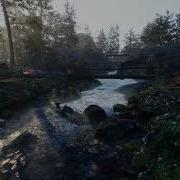 Unity HDRP Test Forest Scene 4k