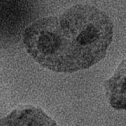 Living On The Edge How A 2D Material Got Its Shape
