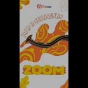 Hammerhead Worm Under A Microscope For Kids STEMscope 2 0
