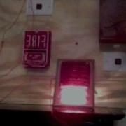 Simplex 4051 W 4050 80 Light Plate