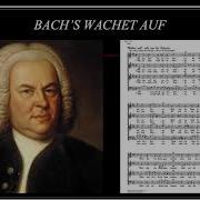 Sleepers Wake Wachet Auf From Cantata BWV 140 By J S Bach