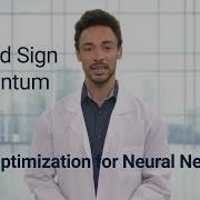 Demystifying Lion Google S New Optimization For Deep Neural Networks