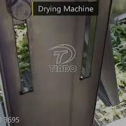 Vegetable Processing Line