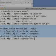 Python For Informatics Exercise From Chapter 8