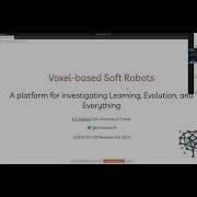 Evolutionary Robotics Voxel Based Soft Robots