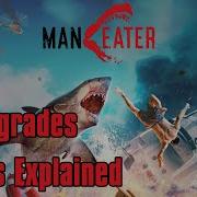 Maneater All Upgrades Sets Explained