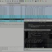 Task 7 TCP Hijacking