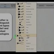 MMC Sperm Sperm Morphology Analysis