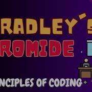 Bradley S Bromide Principles Of Coding