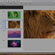 Presentation About A Core ML Database For Image Detection