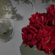Amazing Water Vortex Experiment Whirlpool Hole Vs Red Flowers