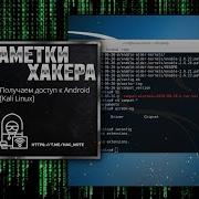 Kali Linux Python Что такое ARP и зачем он нужен