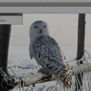 3 Lines Actionscript Code Firing Off A Flash Cs 5 5 Picture Gallery