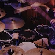 Stalker Badflower Drum Cover