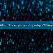 What To Do When Your Server Shows High CPU Usage