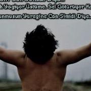 Funda Arar