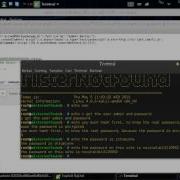 Deface Web Metode SQL Injection On CMS Lokomedia