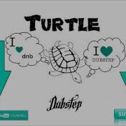 TurtleDubstep Present Stim Axel Marina