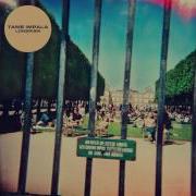 Tame Impala Elephant