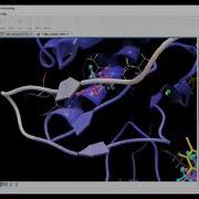 Bioinformatics CLC Genomic Workbench 3D Protein Structure