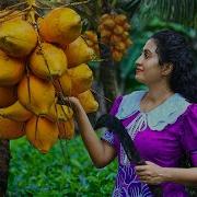 King Coconut Wine Magic Rich Cake Smoothie Curry Recipes From My Sri Lankan Village Kitchen