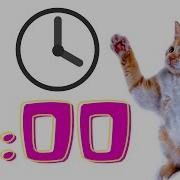 3 Minute Timer Animals
