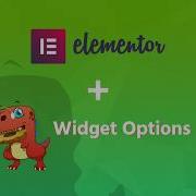 Widget Options Elementor Pagebuilder Support