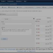 RSForm Pro Multi Language Form