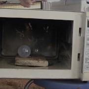 Blowing Lightbulbs In Microwave Oven