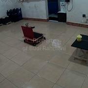 GRID EDGE DEPTH MAP BASED DISTANCE ESTIMATION PLUS COLOR TRACKING HOLONOMIC DRIVE SYSTEM ROBOT
