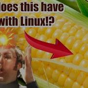 How To Add And Remove Modules In The Linux Kernel