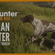 German Shorthaired Pointer Announcement Trailer TheHunterCOTW