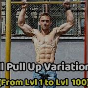 All Pull Up Variations FROM Level 1 To Level 100