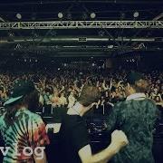 B2B W SQUNTO BOOGIE T DSBTOUR V 11 COFE VLOG EP 340