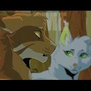DRAG PATH Shrewpaw AU M A P Part 11 27