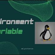 How To Set Environment Variable In Kali Linux