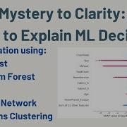 From Mystery To Clarity Using SHAP To Explain ML Decisions
