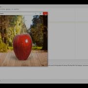 Image Processing Tutorial 2 Reading Writing Showing The Image Using Opencv Python Resizing Of Image