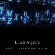 Linear Algebra Lesson 2 2 Reduction To Triangular Form