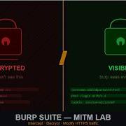 How To Intercept HTTPS Traffic With Burp Suite MITM Attack Explained