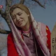 Seyran Beşa 3