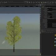 Houdini Tree Asset Tips And Tricks Around Houdini