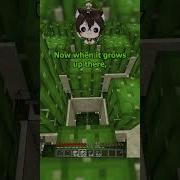 How My Skyblock Cactus Farm Works Minecraft Skyblock NeoNetwork