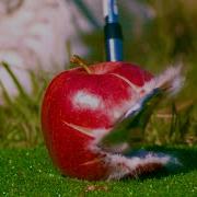 EVERYTHING Looks Better In Slow Motion Compilation Vol 14 16