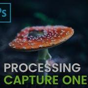 Capture One Pro Macro Post Processing Full Workflow