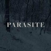 Parasite Movie Title Sequence