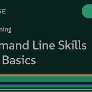Command Line Skills Bash Basics