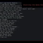 Reverse TCP Shell With Authentication For Linux ARM Raspberry Pi 1